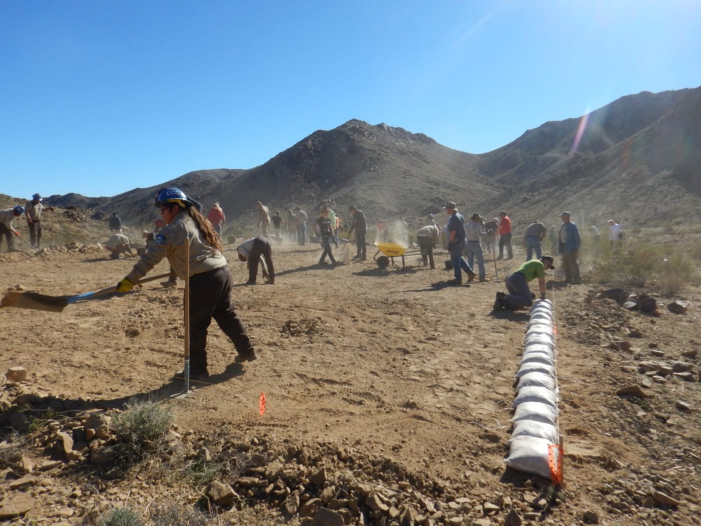 Volunteers rake and shovel a cleared patch of desert ground edged with a row of sandbags