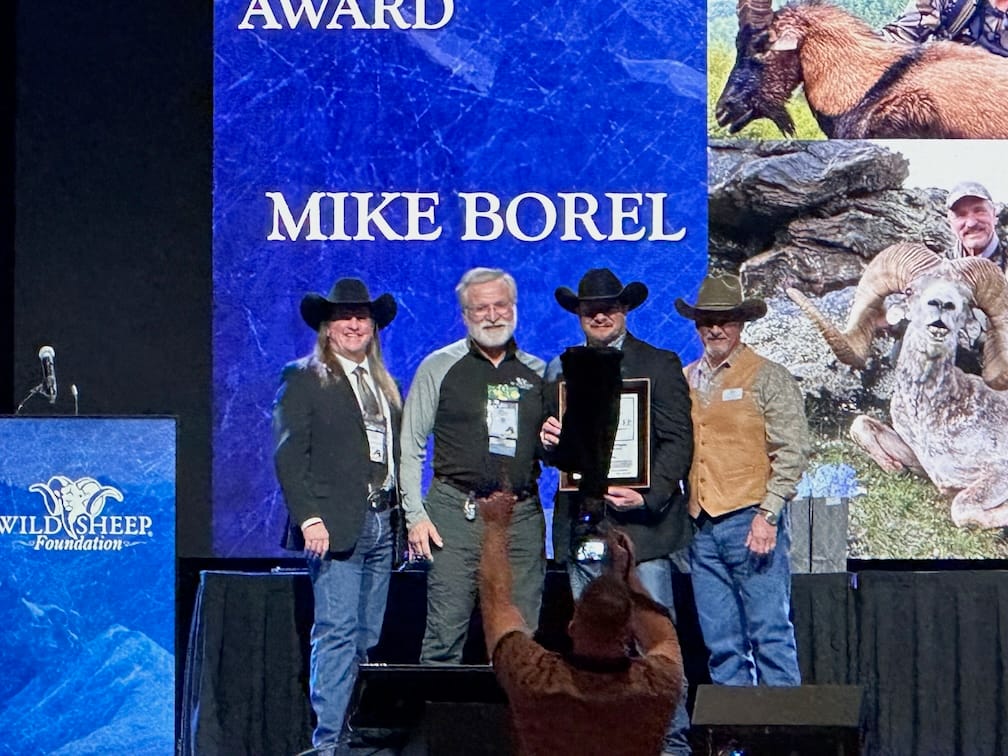 The award presentation on the main stage