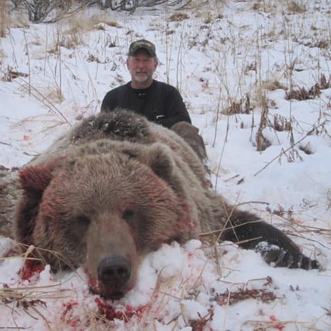 Ben Gordon, Brown Bear