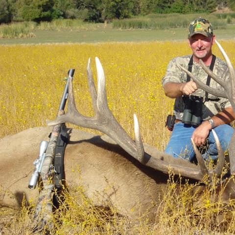 Ben Gordon, Elk