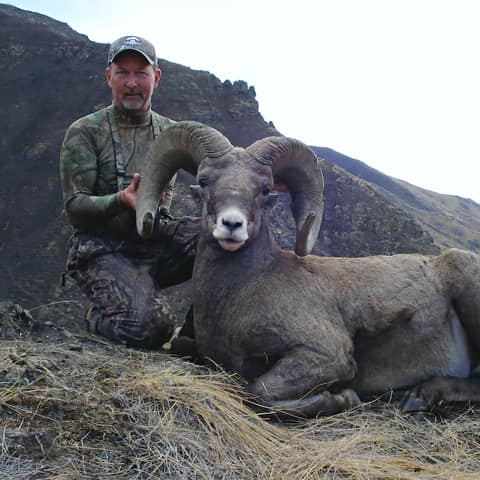 Ben Gordon, Bighorn Sheep
