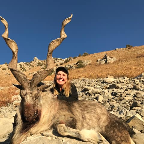 Peggy Lee, Bukharan Markhor, SCI#1, 2019