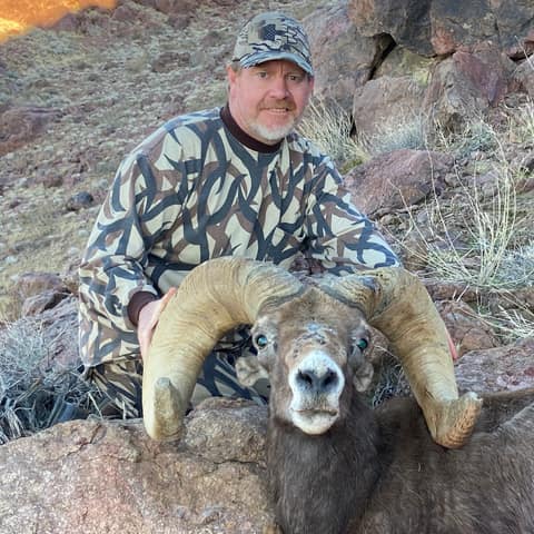 Sam Rich, Newberry, Desert Sheep, Dry Creek Outfitters, 175 4/8", 2019