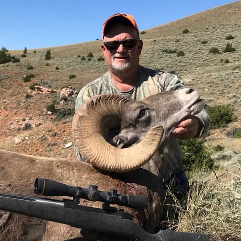 Steve Wiley, Wyoming Rocky Mountain Bighorn Sheep, 2019