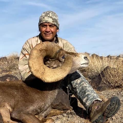 Walt Limon, Marble Clippers, Desert Sheep