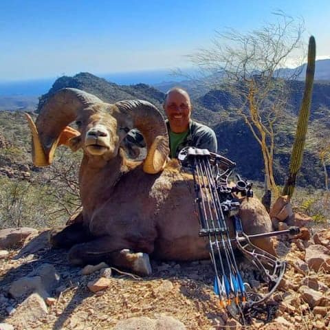Bill Tittle, Kika Worldwide, Tiburon, Desert Sheep