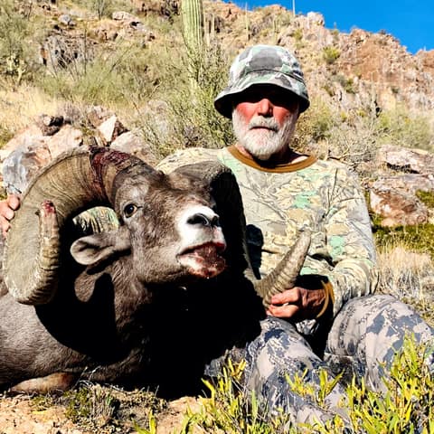 John Zenz, Mesicali Desert Bighorn