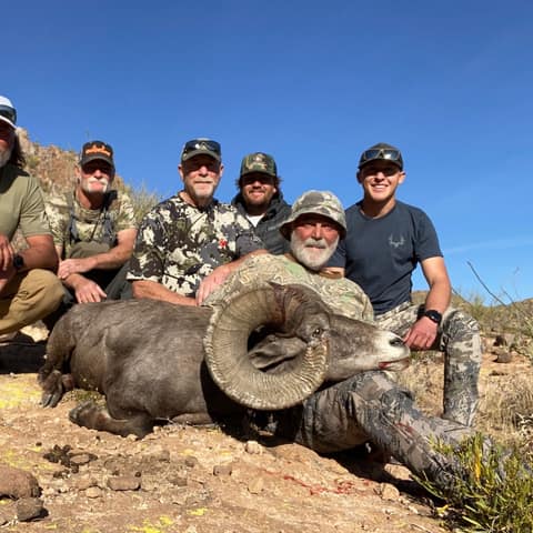 John Zenz Team, Mesicali Desert Bighorn