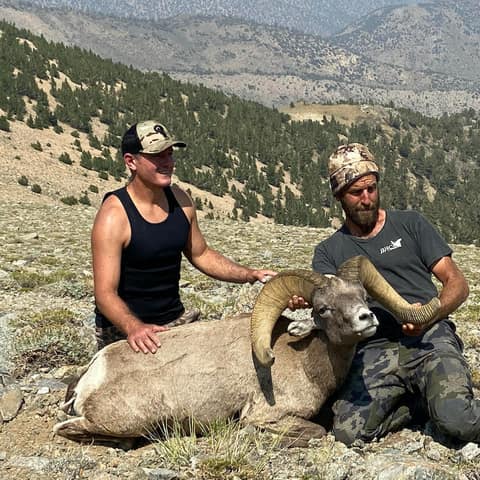 Robert McClelland, White Mountains Desert Bighorn