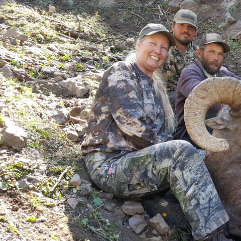 Tammy Scott, Rocky Mountain Bighorn, 2021