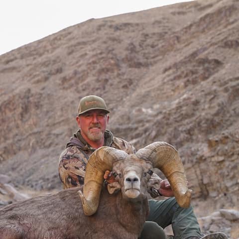 Tim Haught, Kika Worldwide, Orocopia, Desert Sheep 174"