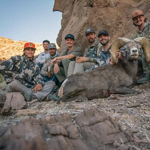 Jake Franklin, Team, Desert Sheep