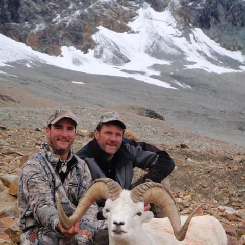 Brian Baley, Dall Sheep
