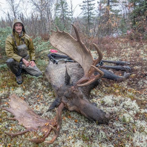 Craig Van Arsdale, Alaskan Moose