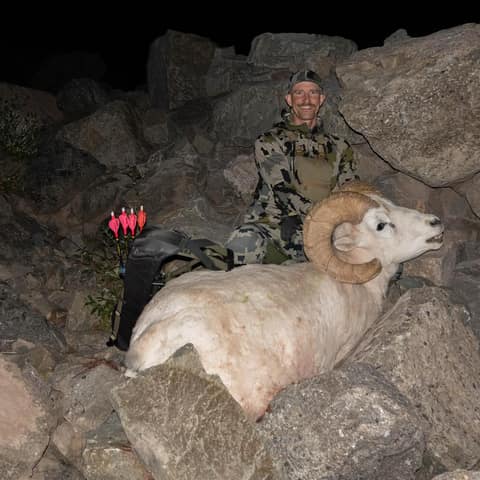 Craig Van Arsdale, Dall Sheep Ram