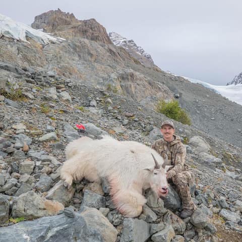 Craig Van Arsdale, Another Alaskan Mountain Goat