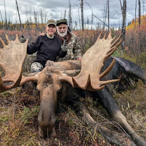 Lee Torres, Alaskan Moose