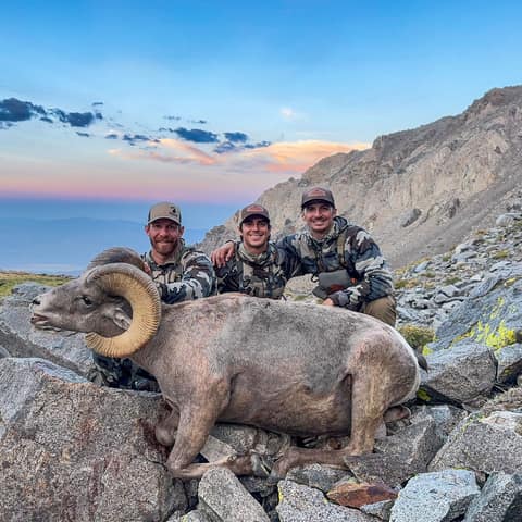 Cody Darling, Desert Ram, Whites with Sierra Crest Outfitters Team